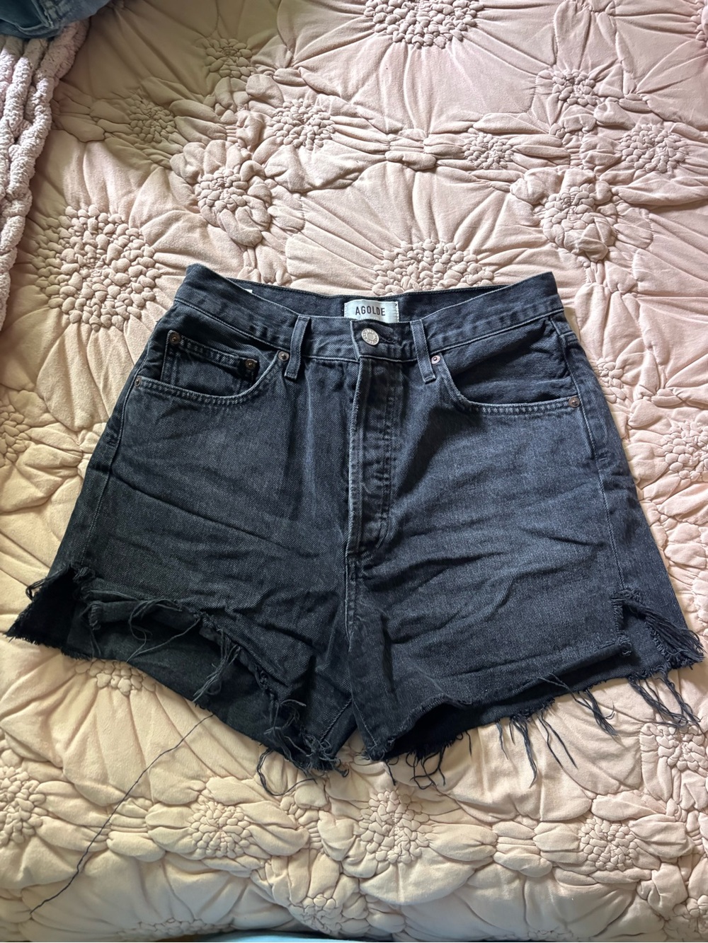Agolde Dee Shorts in Exhibit